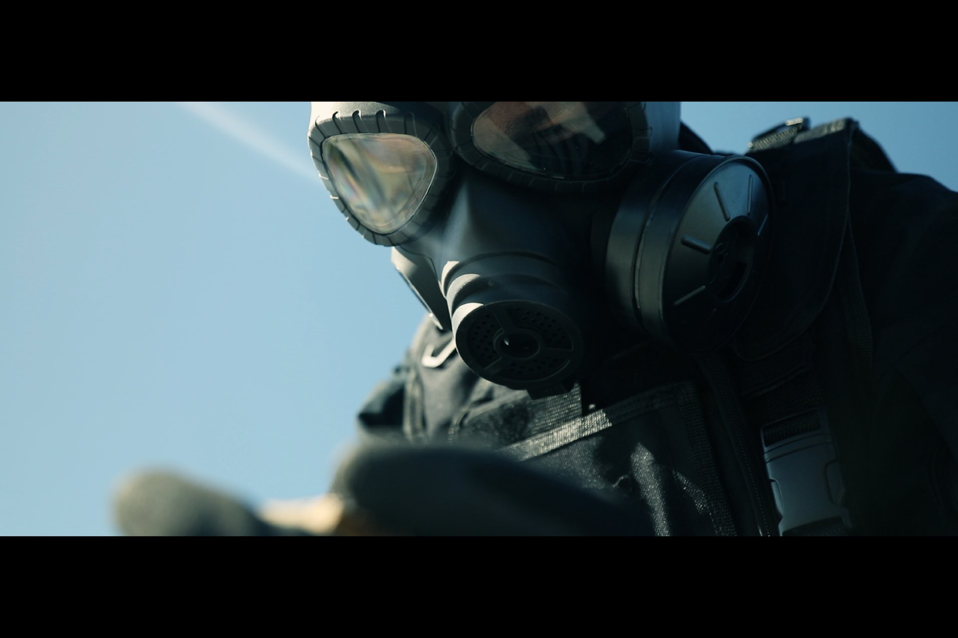 Daedalus still